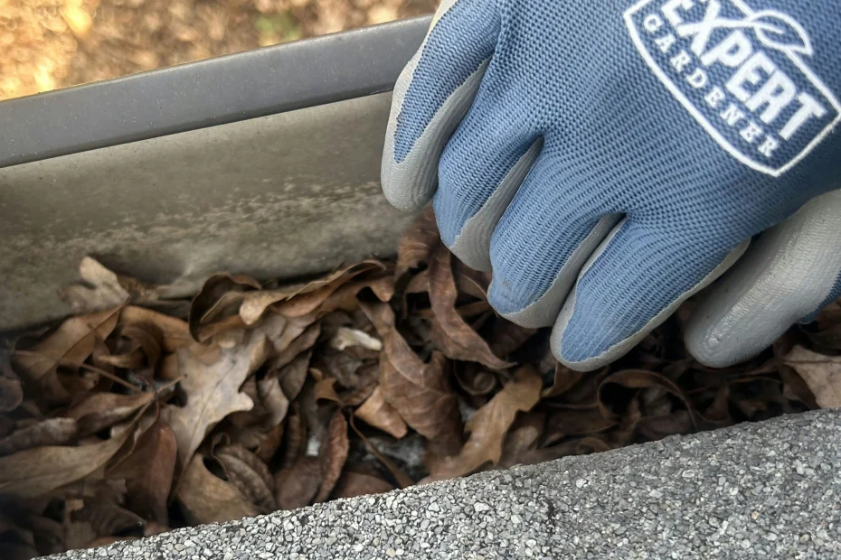 Gutter Cleaning Winter Park