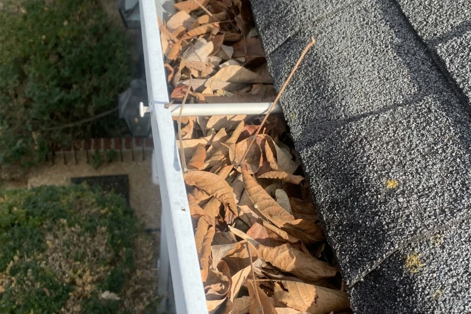 Gutter Cleaning Winter Park