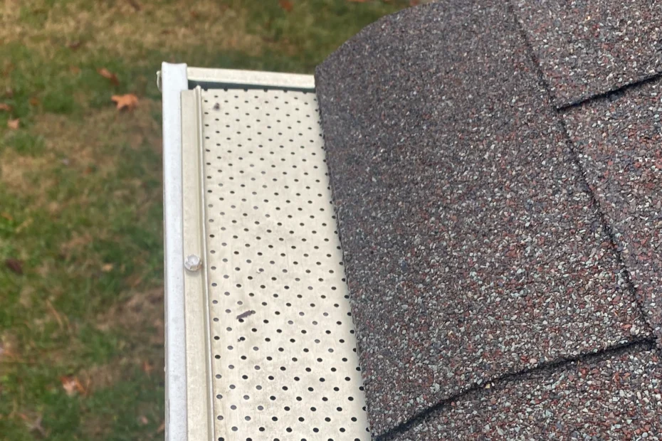 Gutter Cleaning Winter Park