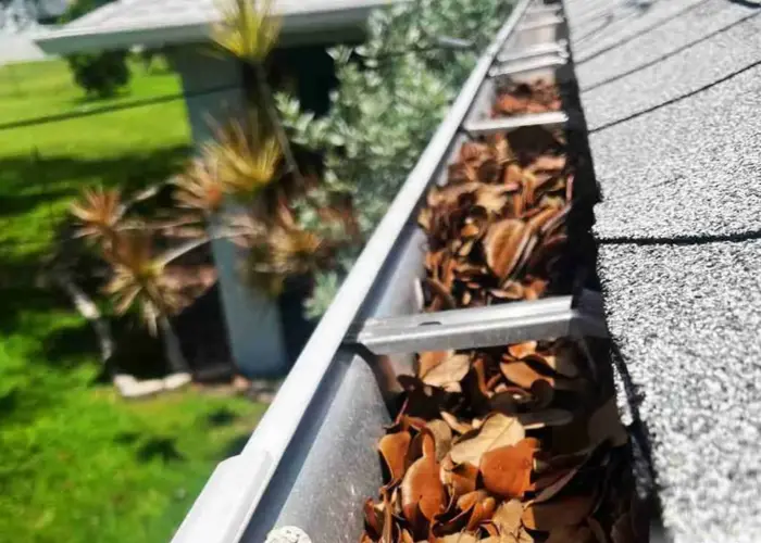 Gutter Cleaning Winter Park home page